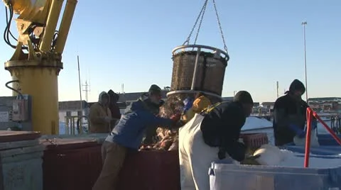 Icy Dock - Dumping the Halibut Bailer into Bins Stock-Footage 10685419