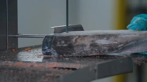 Icy fish is getting chopped by a factory worker at modern Fish factory. Stock Footage 121027804