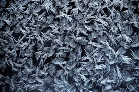 Icy flowers Stock Photos