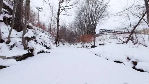 Icy forest stream in natural winter scenery Stock Footage 323338910