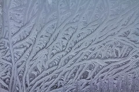 Icy Frost Patterns Stock Photos
