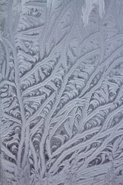 Icy Frost Patterns Stock Photos