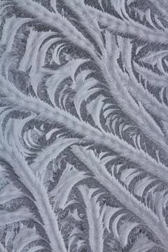 Icy Frost Patterns Stock Photos