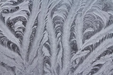 Icy Frost Patterns Stock Photos