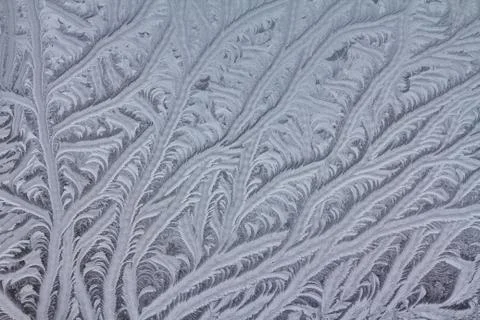 Icy Frost Patterns Stock Photos