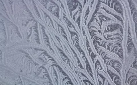 Icy Frost Patterns Stock Photos