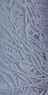 Icy Frost Patterns Stock Photos