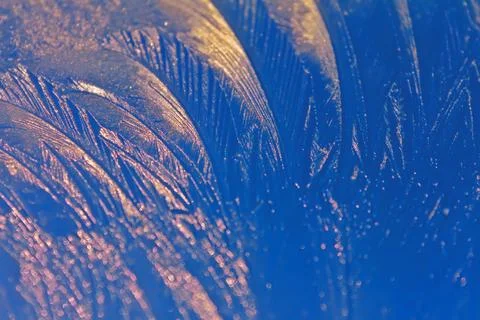 Icy frosty ornate pattern of thin ice on the window at sunset Stock Photos