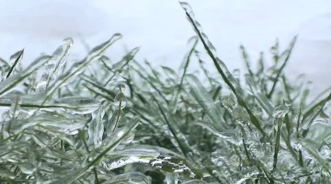Icy grass 库存影片 5815693