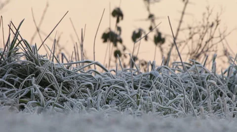 Icy grass Stock Footage 34345098