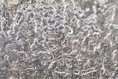 Icy Macro Abstract Stock Photos