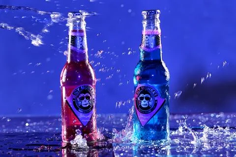 Icy Monkey Stock Photos