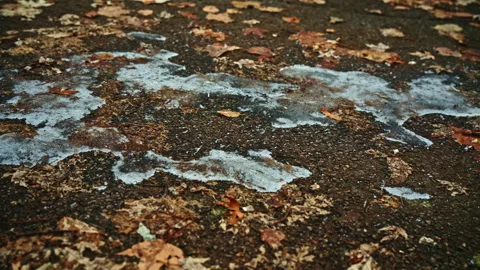 Icy Park Path Showing Early Ice at the End of Autumn Stock Footage 325752591