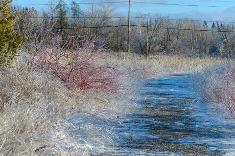 Icy Path Stock Photos
