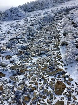 Icy Path Stock Photos