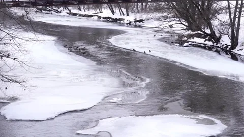 Icy River Ducks 2 스톡 동영상 85992214