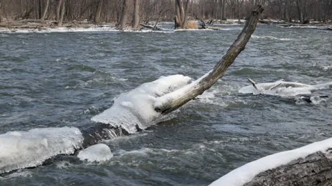 Icy River Flowing Over Log Stock Footage 145161537