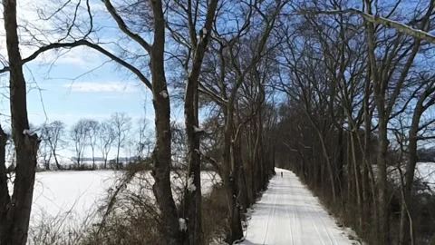 An icy road and trees make a beautiful winter scene in south central Kentucky Stock-Footage 342085388