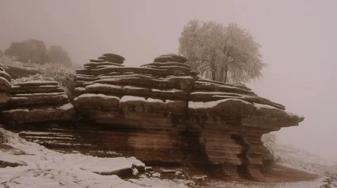 Icy rocks and tree Stock Footage 46803373