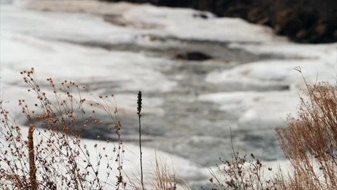 Icy South Platte River Video stock 333349066
