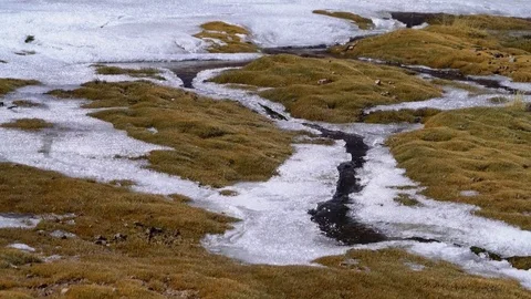 Icy Stream Stock Footage 73248138