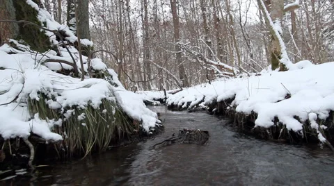 Icy stream in forest Stock Footage 979436