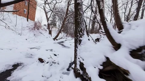 Icy stream in snowy forest landscape Stock Footage 323339487