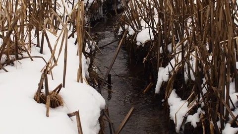 Icy stream through a winter countryside Stock Footage 108641631