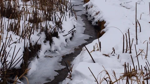 Icy stream in winter Stock Footage 108641656