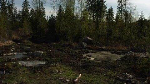 Icy swamp in the spring Stock Footage 49101140