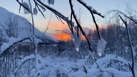 Icy tree branches close-up with a snow-covered mountain and a sunset in the Video stock 170552877