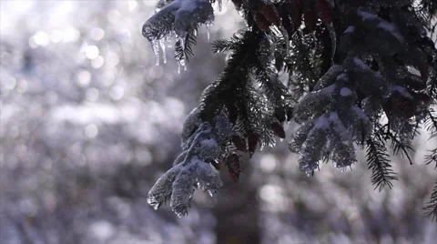 Icy Winter backdrop Stock Footage 42919769