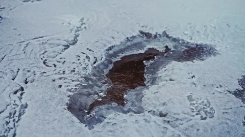 Icy Winter Nature Stock Footage 337583307
