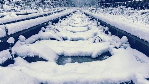 Icy winter setting showcasing unique tracks and bright blue shades Stock Photos
