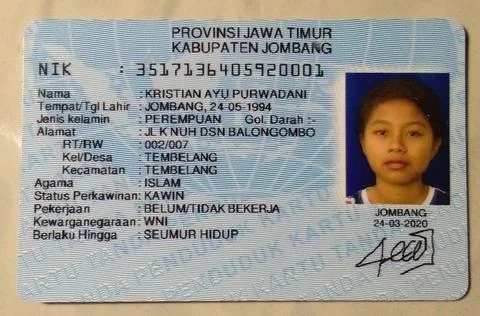 ID CARD 스톡 사진