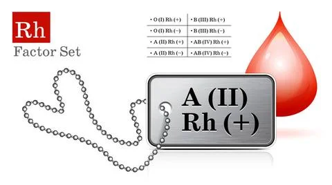 Id tag with Rh factor Id tag with Rh factor and blood drop. Vector illustr... Stock Photos