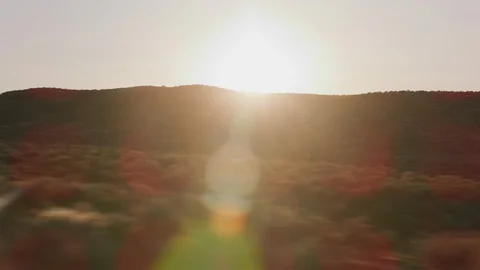 Idaho circa-2020.  Stabilized driving shot of landscape with sun flare.  Shot Vidéo 130357640