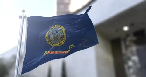 Idaho flag waving-seamless-loop-4k-60fps Stock Footage 344953438