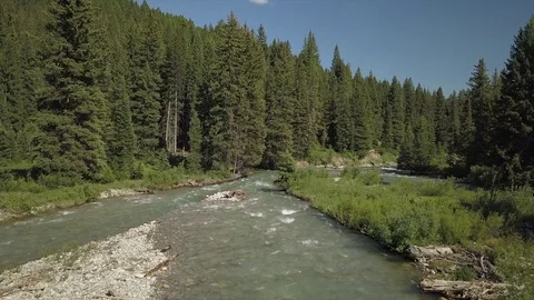 Idaho Mountain Stream Stock Footage 83314451