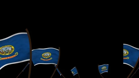 Idaho State Flags Waving Crowd. Realistic 4K 60fps Seamless Loop Stock Footage 338405937