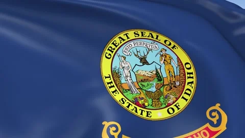 Idaho State Waving Flag Background Loop Stock Footage 317846217