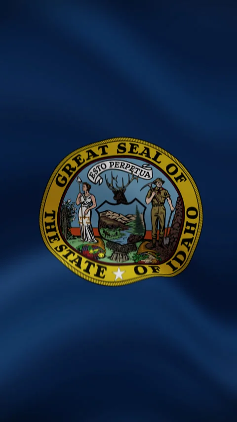 Idaho State Waving Flag in Vertical Orientation – Realistic Loop Animation Stock Footage 294948863