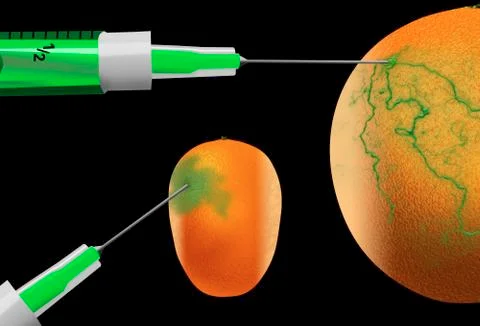 The idea of genetically and chemically engineered food and plants is illustra Stock Illustration