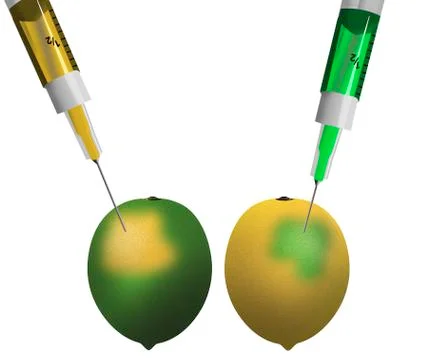 The idea of genetically and chemically engineered food and plants is illustra Stock Illustration