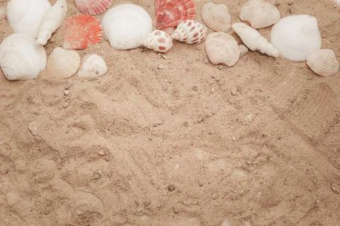The idea for putting text in the summer, which consists of shells decorated a Stock Photos