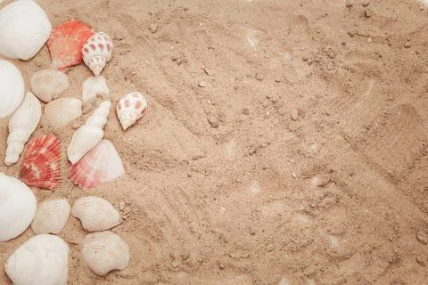The idea for putting text in the summer, which consists of shells decorated a Stock Photos