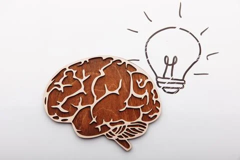 Idea solution concept, brain and picture of light bulb on a white background Stock Photos