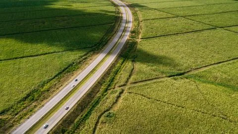 Ideal flat fields. Green and lines. Road Stock Photos