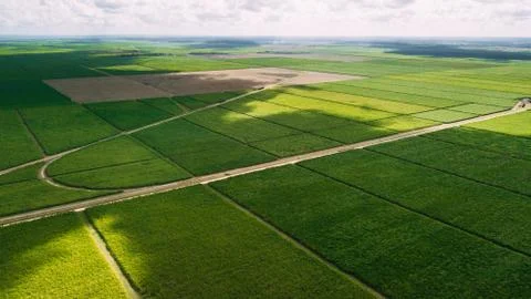 Ideal flat fields. Green and lines. Road Stock Photos