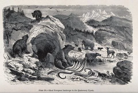 An ideal landscape in the Quartenary epoch with bears, elks and mammoths. W.. Stock Illustration